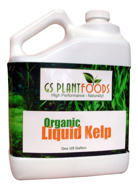 Liquid Kelp Organic Seaweed Fertilizer, 1 Gallon of concentrate