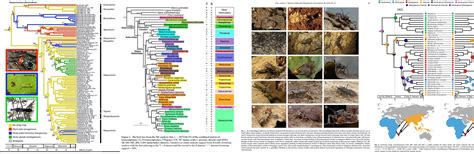 Reduviidae Systematics | Heteropteran Systematics Lab