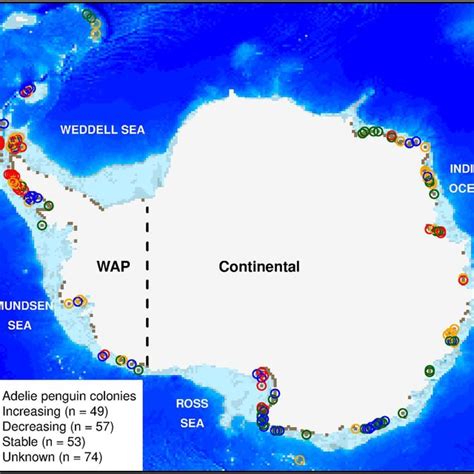 Percent of Adélie penguin breeding colonies experiencing different ...