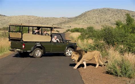 Tshukudu Bush Lodge, South Africa