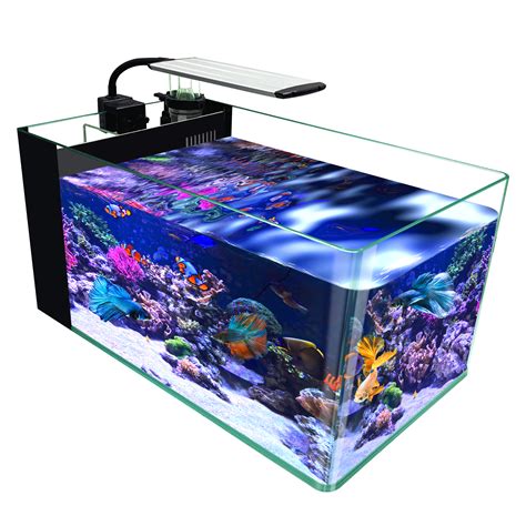 GankPike 10-Gallon Saltwater Aquarium with Lid, Protein Skimmer, LED ...