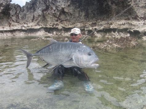 WARTA PANCING: Teknik Mmancing Ikan Giant Trevally (Kuwe/GT)