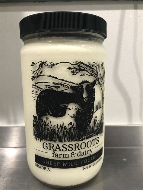 Sheep Milk Yogurt — Grassroots Farm & Dairy