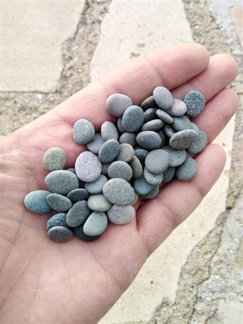 60 Small Flat Dark Grey Craft Pebbles Beach Pebbles Little | Etsy