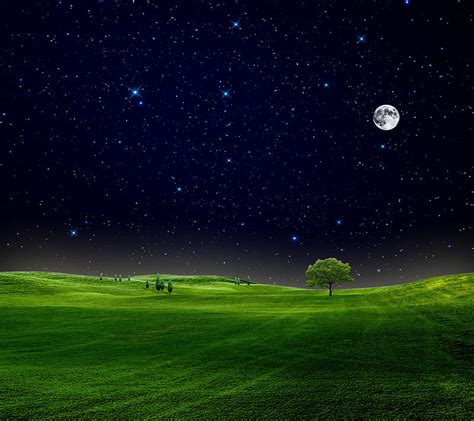 Night sky, field, grass, moon, nature, new, nice, stars, tree, HD ...