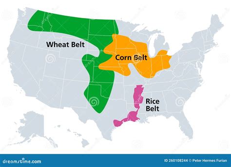 Corn Belt, Wheat Belt and Rice Belt of the United States, Political Map ...