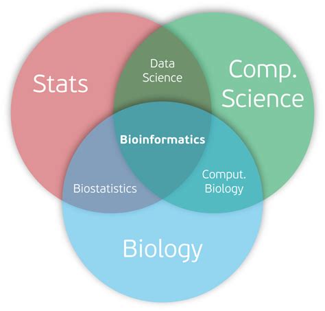 Applications of Bioinformatics in Medicine and Biotechnology