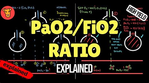 paO2/FiO2 ratio in Respiratory Failure Explained - YouTube