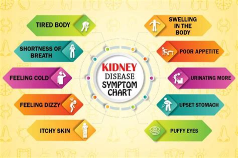 Kidney Disease Early Warning Signs and Symptoms - Just Credible