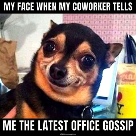 office gossip meme Funny Coworker Memes, Funny Monday Memes, Funny ...