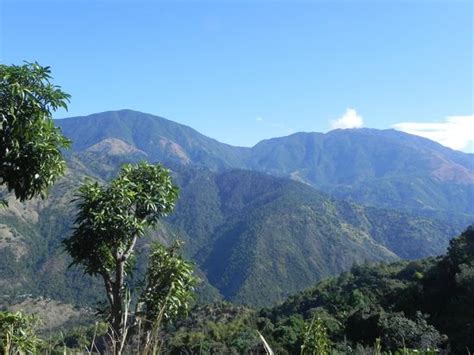 The Jewel Tones of the Jamaica Blue Mountain is simply breathtaking ...