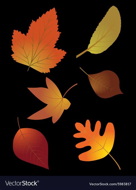 Details 100 fall leaves background - Abzlocal.mx