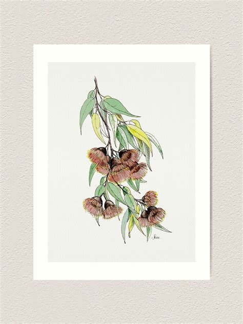 "Red Flowering Gum" Art Print for Sale by JRoseDesign | Redbubble