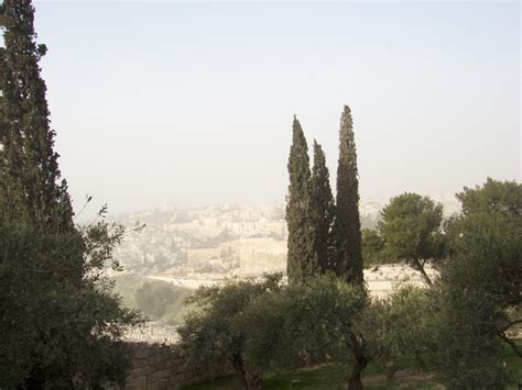 The mount of Olives looking towards Jerusalem, amazing thoughts this ...