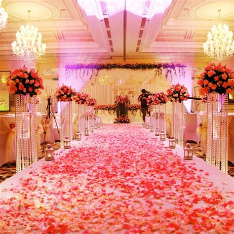 the aisle is decorated with pink rose petals