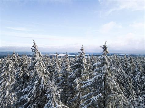 5 beautiful places for a snow hike in the Ardennes