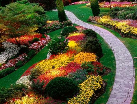 I love the mums in fall colour blossoms! | Garden landscape design ...