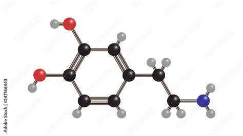 Dopamine molecule vector. Molecular structure vector design. Dopamine ...