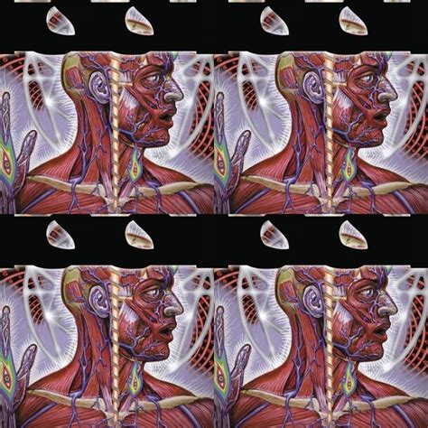 Tool - Lateralus (Full Album HQ)