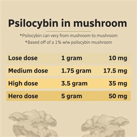 N.S. company launching clinical trial to examine magic mushrooms as ...