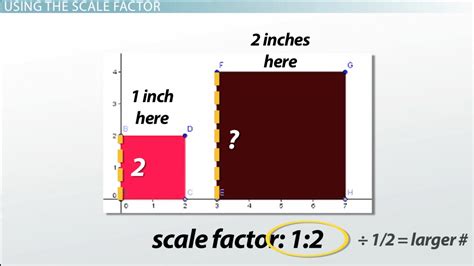 Finding Scale Factor Worksheet – Ame.my.id