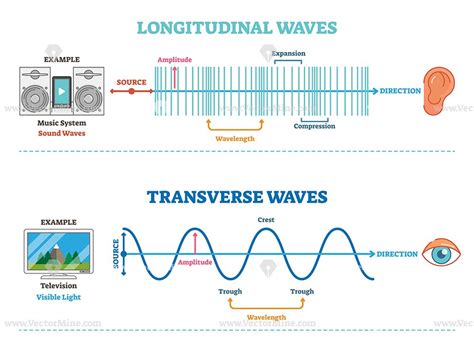 Longitudinal and Transverse wave type, vector illustration scientific ...