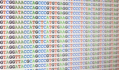 What are Biosecurity Sequence Reference Databases?