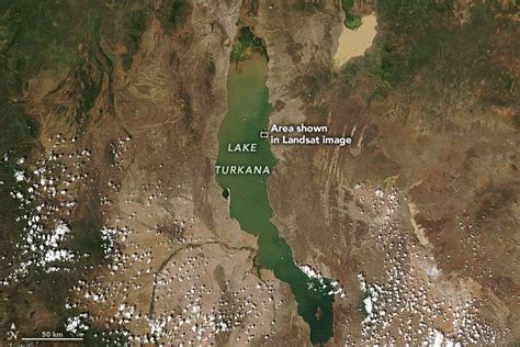 Lake Turkana Africa Map