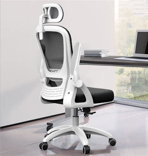 Ergonomics chair Office Chair Computer Chair Gaming Chair High Back ...