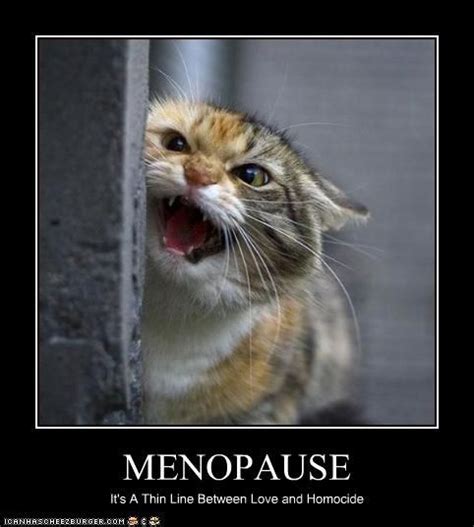 Menopause Memes Sticker By Barefreddy | ubicaciondepersonas.cdmx.gob.mx