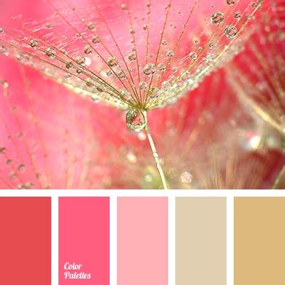 shades of pink and gold | Color Palette Ideas