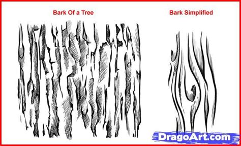 Tree Bark Texture Drawing