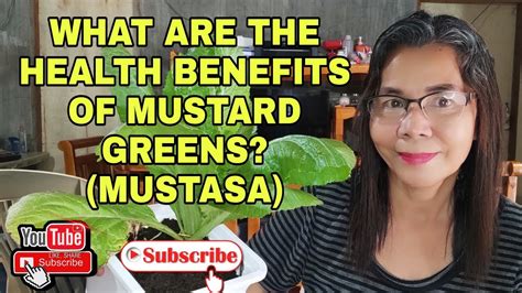 WHAT ARE THE HEALTH BENEFITS OF MUSTARD GREENS (MUSTASA)? - YouTube