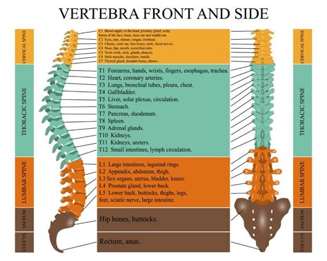 Spinal Cord Injuries | Boulton Law Group