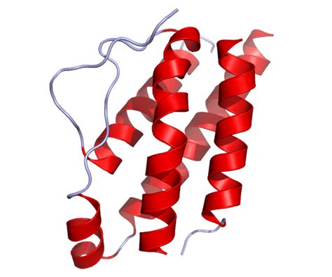 Interleukin 2 - wikidoc