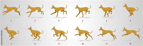 Dog Run cycle animation sequence Stock Vector | Adobe Stock