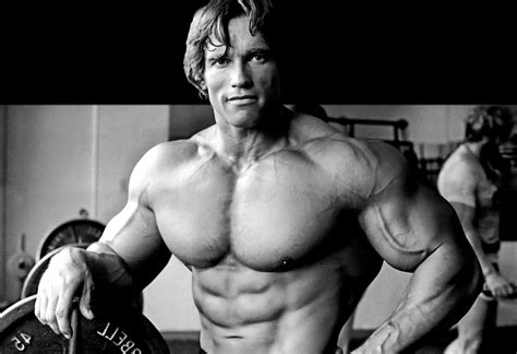 Arnold schwarzenegger conquer arnold schwarzenegger conquer wallpaper ...