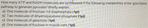 Solved How many ATP and NADH molecules are synthesized if | Chegg.com