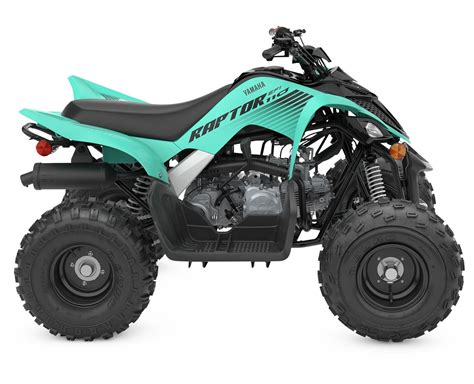 2024 Yamaha Raptor 110 Teal for sale in Grand Bend - Southwest Marine ...