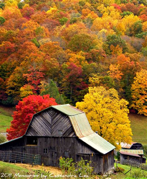 Fall Foliage Hot Spots | Old barns, Country barns, Barn