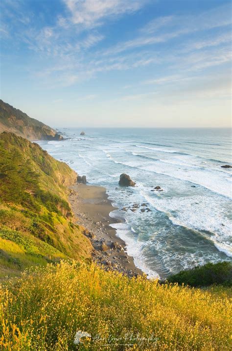 Vista Point, Del Norte Coast Redwoods State Park - Alan Crowe Photography