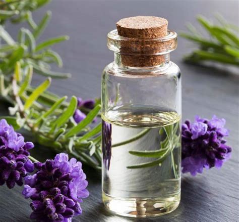 Stressed? Having Problems Sleeping? The Benefits of using Lavender Oil ...