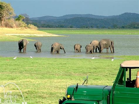 Travel Srilanka - The Wonder of Asia