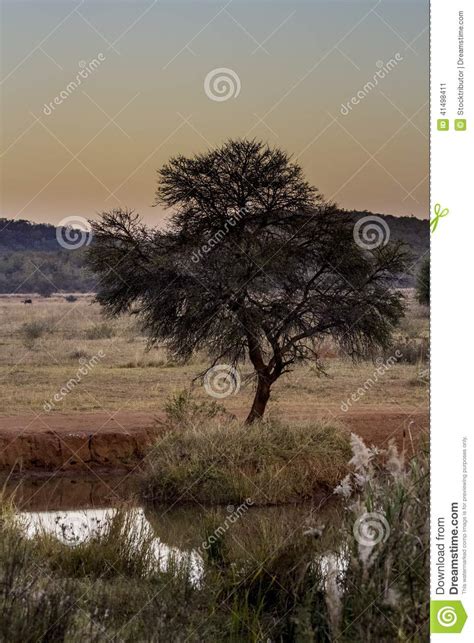 African landscape stock image. Image of summer, landscape - 41498411