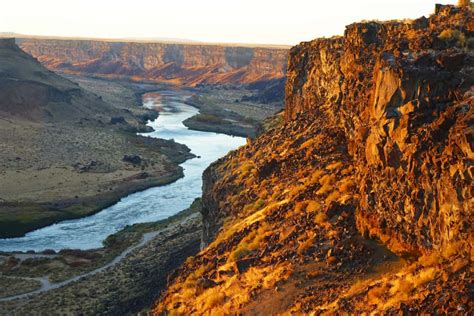 Bird Lovers Flock to Kuna, Idaho - Legacy Real Estate Co.