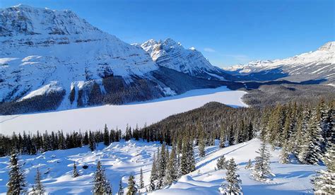 Peyto Lake In Winter – The Bow Summit Hiking Challenge - Forever Karen