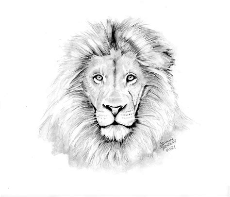 Lion Realistic Drawing-lion King-graphite Pencil-realistic Animal ...