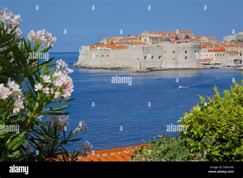 View of Old Town, Cavtat, Dubrovnik Riviera, Dalmatian Coast Stock ...