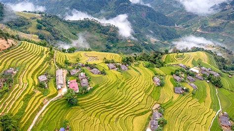 Banaue Rice Terraces: World wonder at risk of collapse as as locals ...