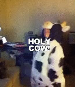 Holy Cow GIF - Holy Cow - Discover & Share GIFs